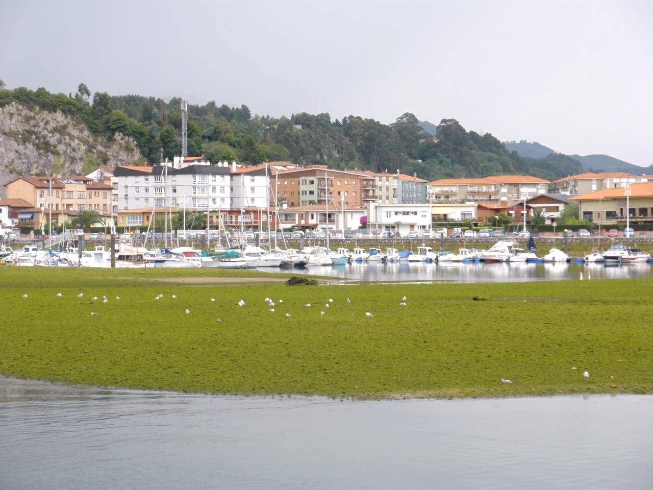 Ría y puerto de Ribadesella con bajamar, embarcaciones amarradas y el pueblo al fondo